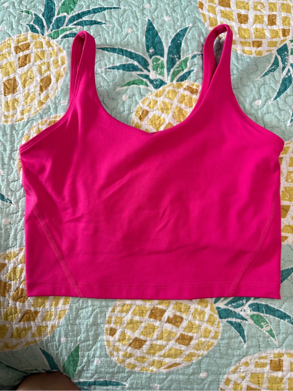 Gilly Hicks Bright Pink Sports Bra